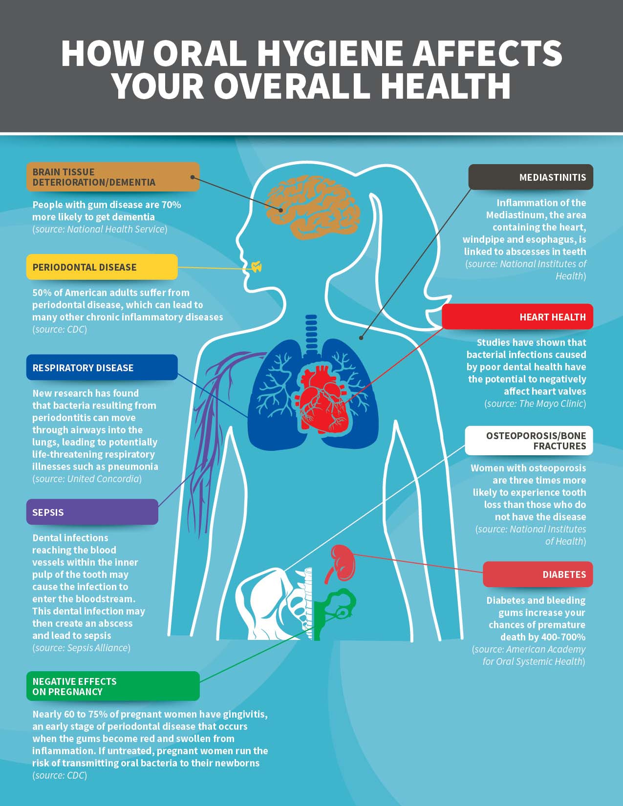 The Effects of Oral Hygiene on Overall Health - Emerald Dental